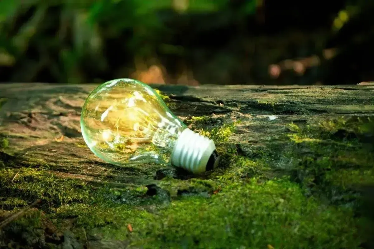 The Environmental Benefits of Sustainable Lighting Practices