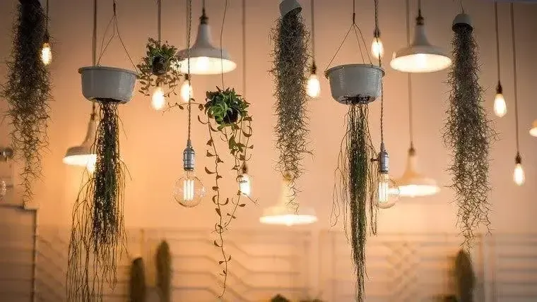How to Choose the Right Lighting for Your Home or Business
