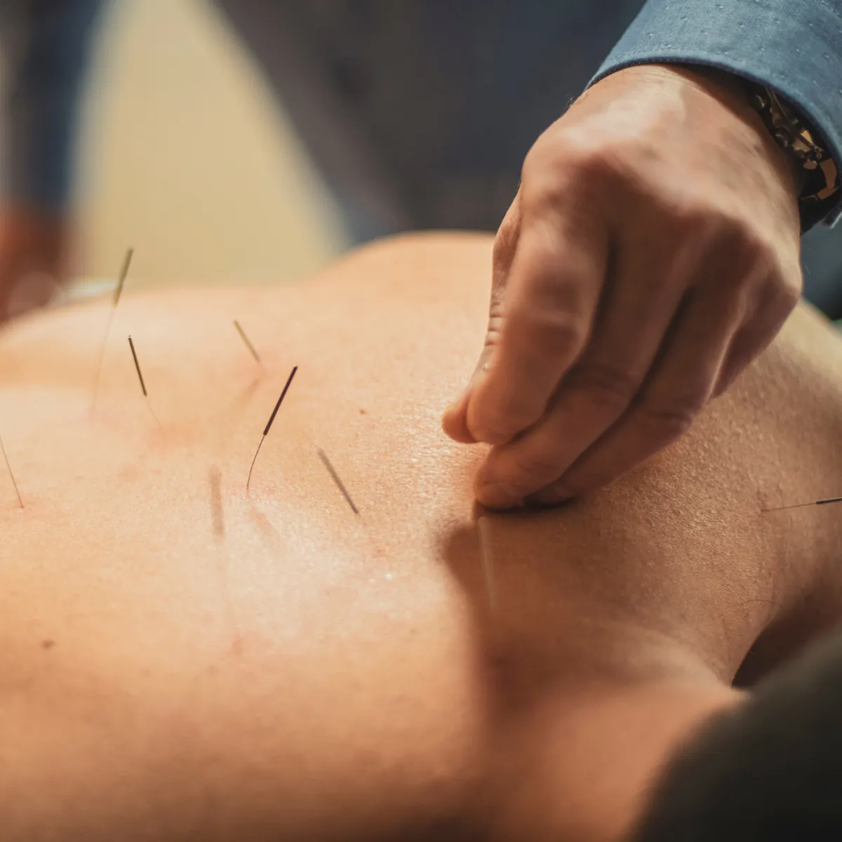 Simple Ways TCM Can Improve Your Health In The Fall