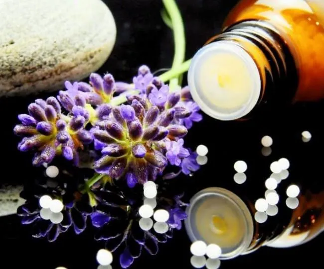 Part II: Naturopathic Doctor: What’s in a name?