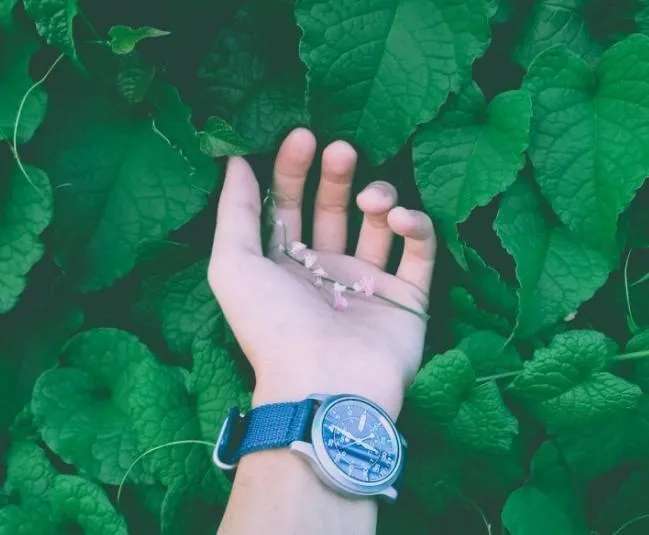 6 Free and Easy Ways to Take Control of Your Health and Wellbeing Now