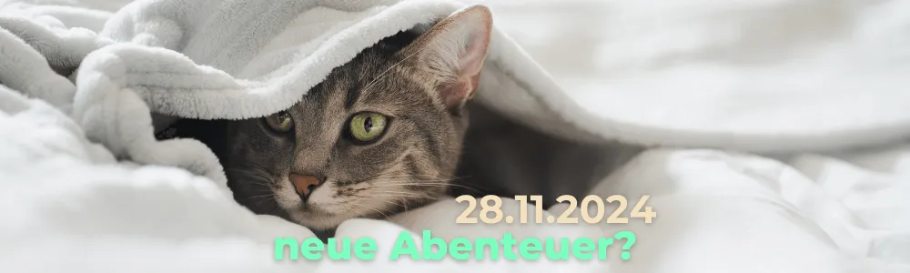 Tagesimpuls 28.11.2024