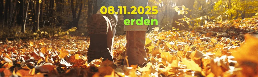 Tagesimpuls 08.11.2025