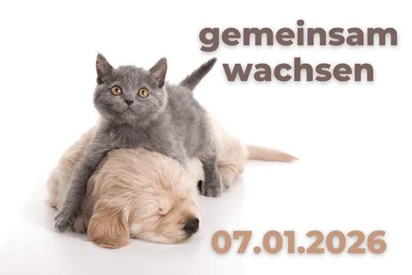 Tagesimpuls 07.01.2026