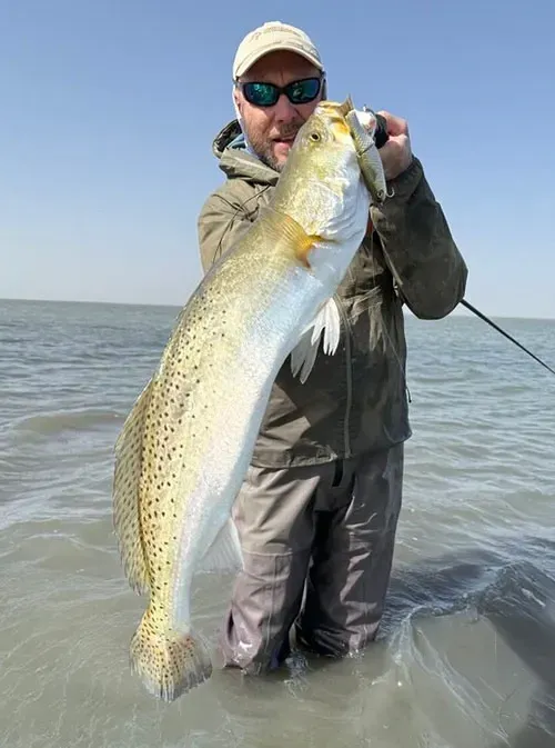 Speckled Trout Spring Transition for Spotted Sea Trout