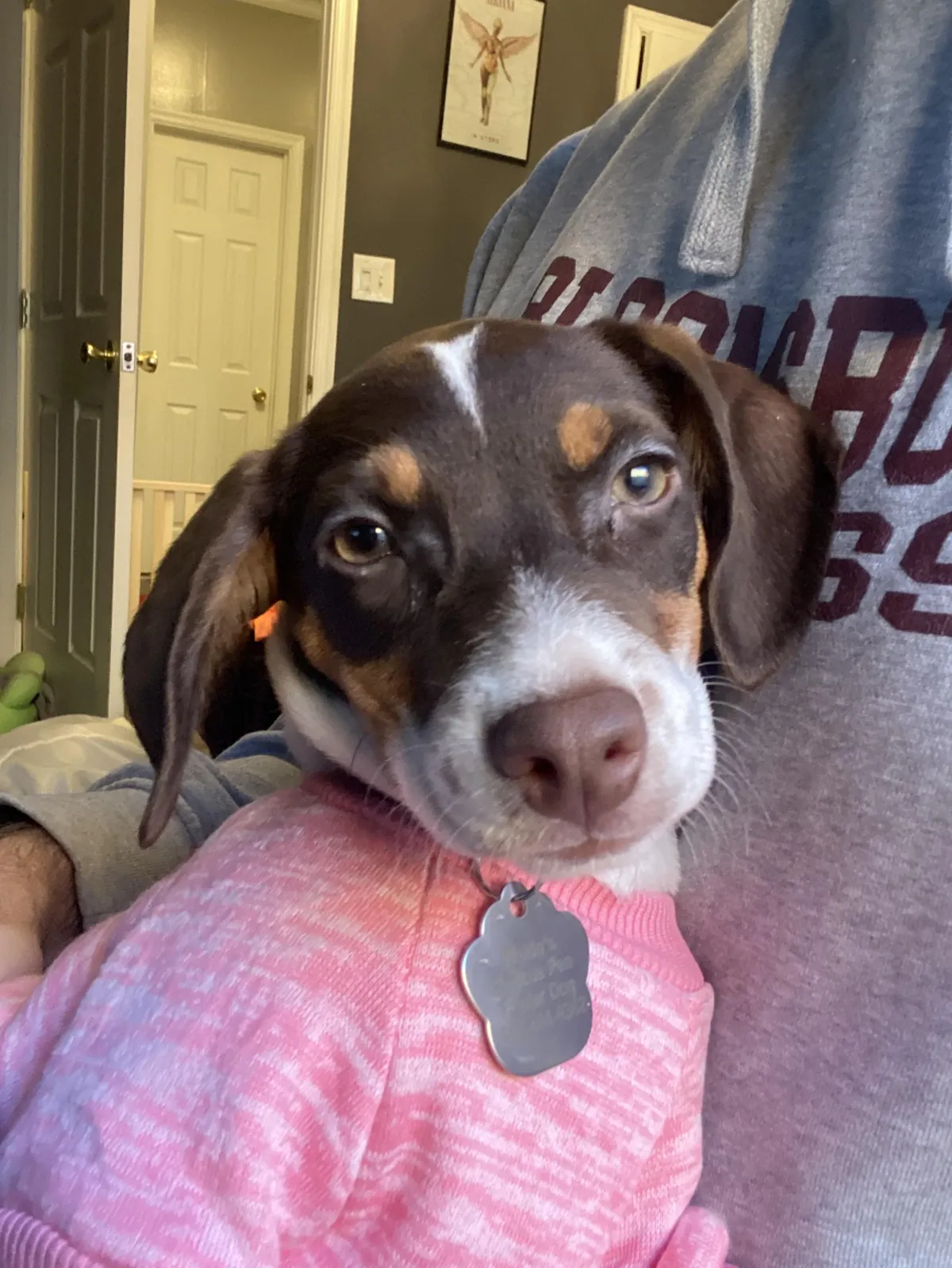 Pepper