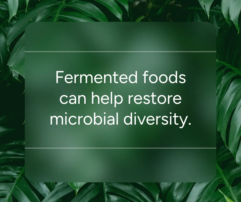 The Power of Fermented Foods: Restoring Your Microbial Diversity