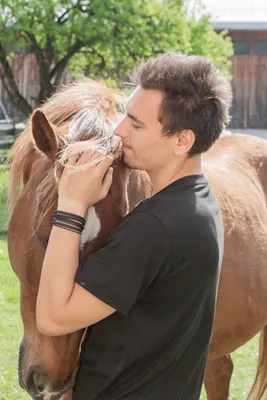 Pferdeenergie online erleben: Resonanz des Pferdefelds über Stimme und Präsenz