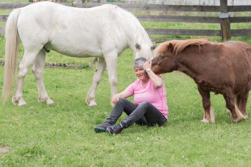Die Intelligenz der Herzenergie - warum sie der Schlüssel im Pferdefeld ist