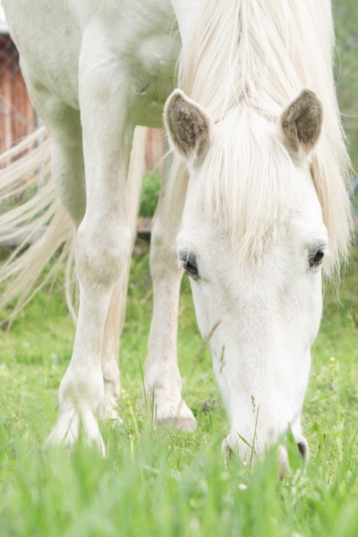Wave - Die Essenz der Freiheit | Glückseligkeit & Vibrations-Resonanz