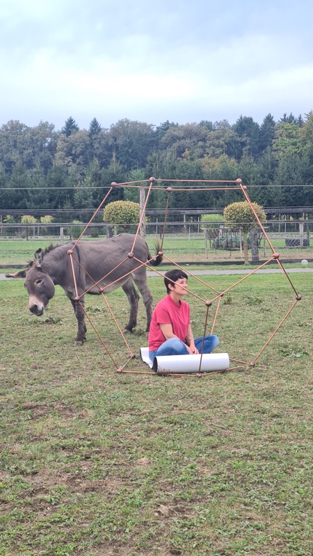 Die übersystemischen Transformation