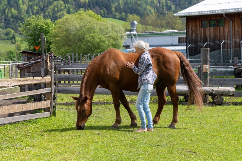 Herzenergie, vertieft: Die innere Ordnung deines Seins