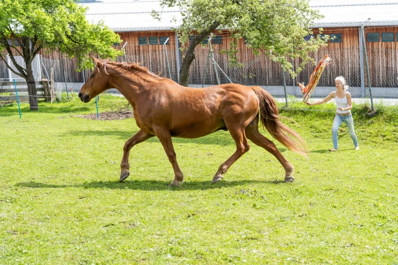 Die fünf Körperzeichen der Klarheit
