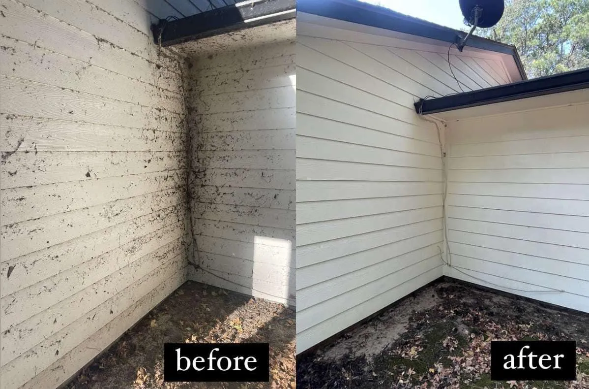 Siding Soft Washing