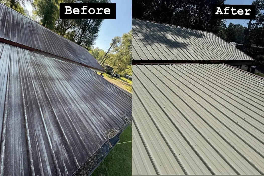 Roof Soft Washing