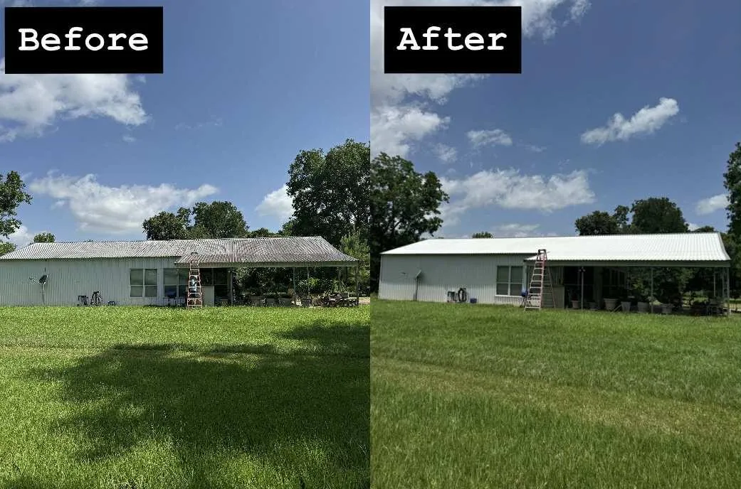 Roof Soft Washing