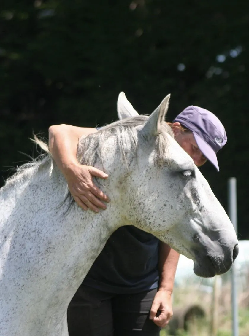 horses head