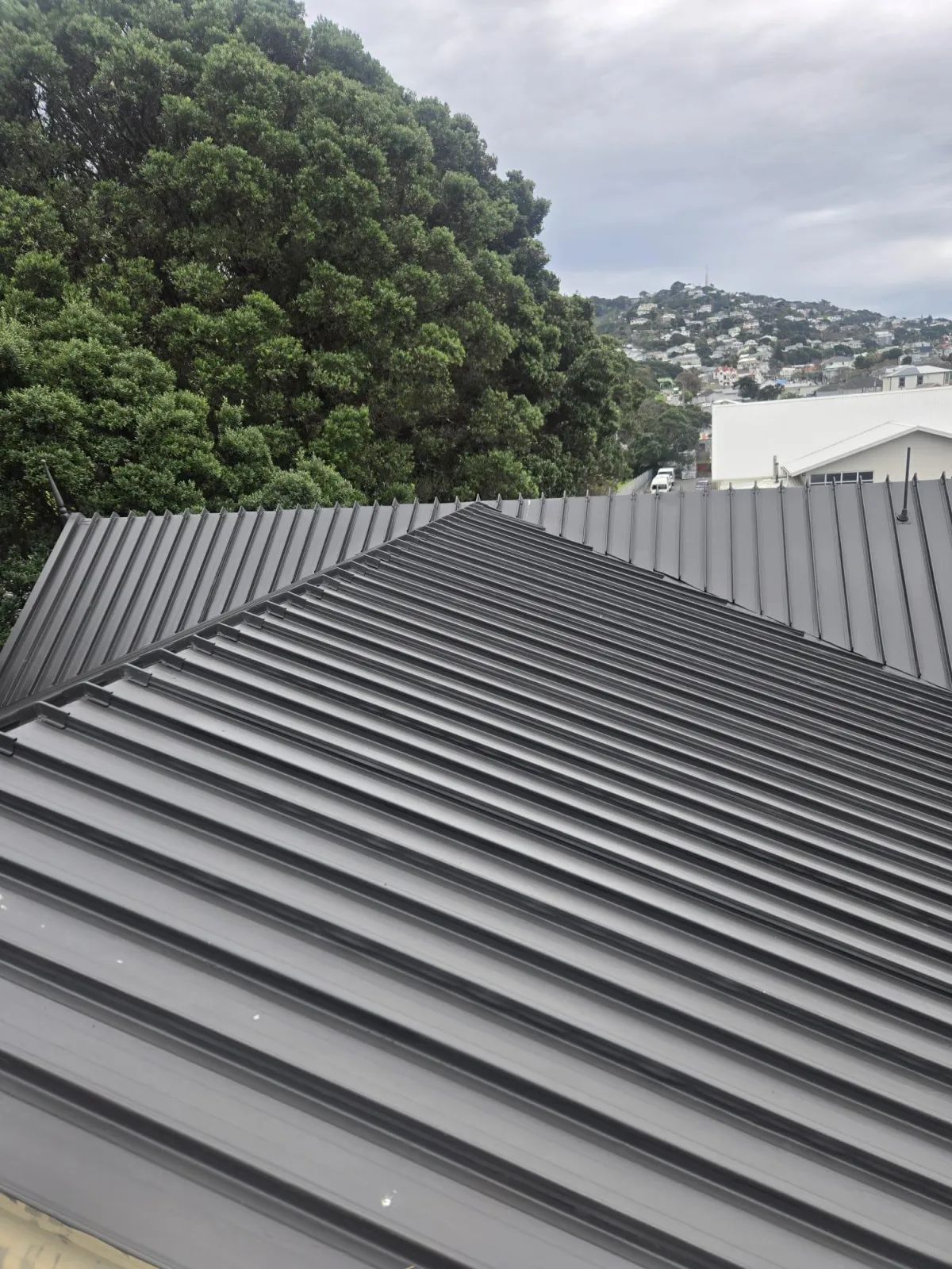 Kiwiseal Liquid Membrane Roofing Guide 2025 | Waterproof Roof Solutions NZ