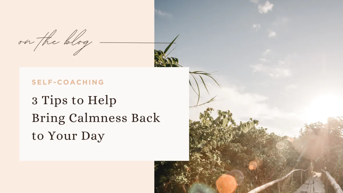 3 TIPS to HELP BRING CALMNESS BACK INTO YOUR DAY