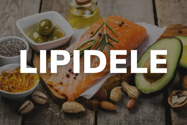 Lipidele
