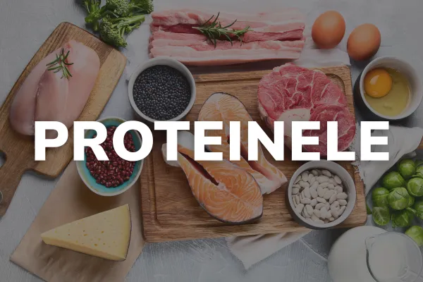 Proteinele