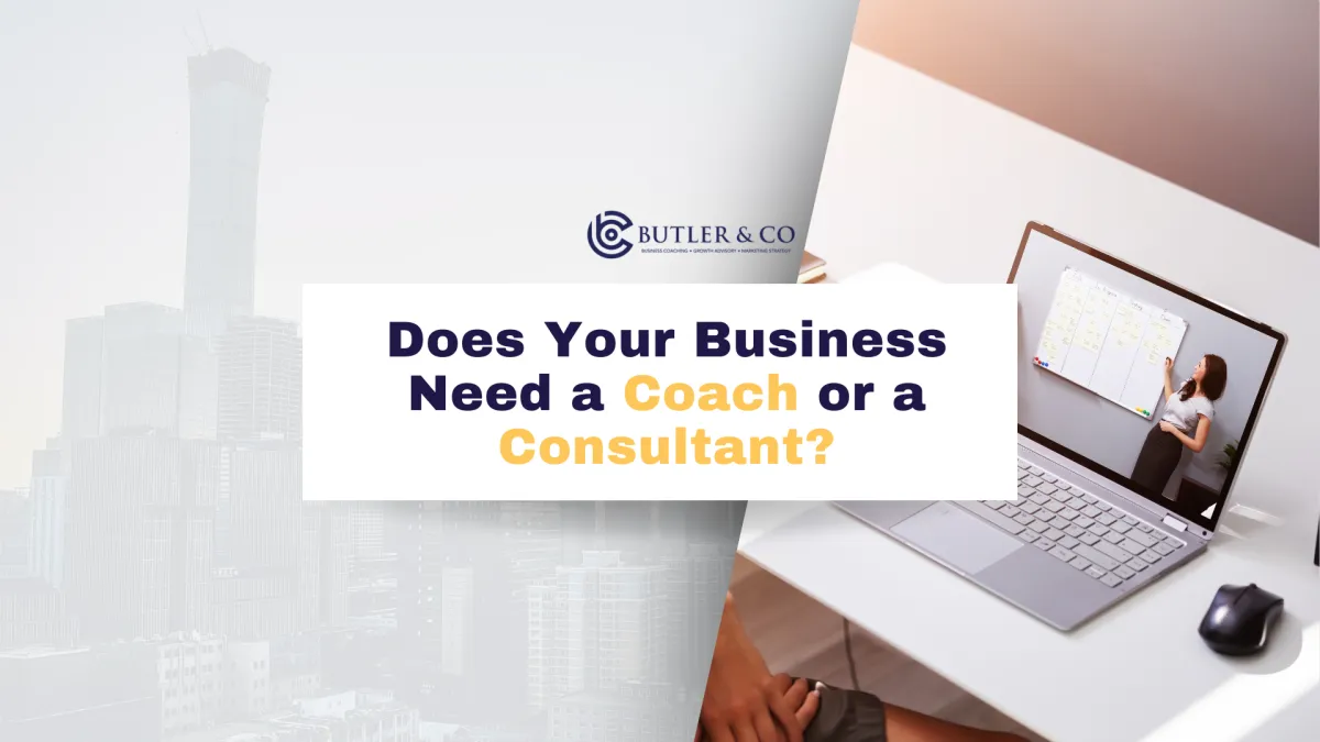coach vs consultant