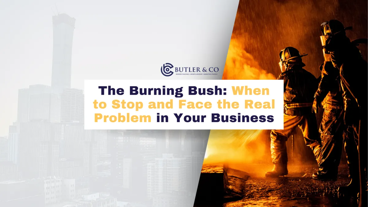 burning bush