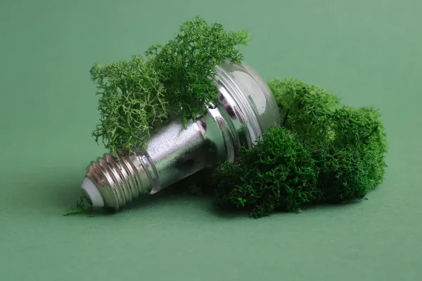 Edição 010 - Biometano, e-bikes e florestas: os motores da nova economia verde