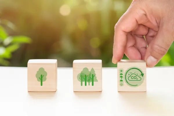 Edição 002 - Como o Brasil pode liderar a corrida da energia limpa?