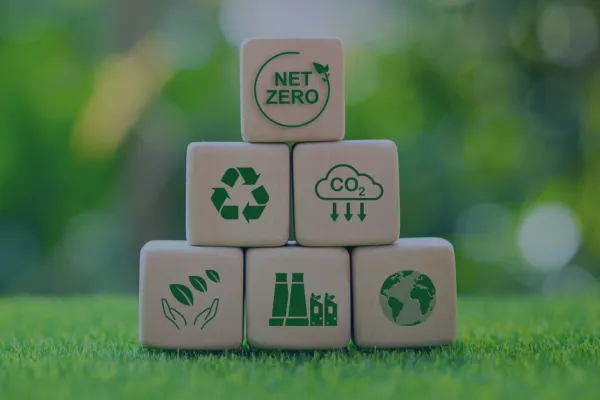 Edição 001 - Você sabe por que o Brasil está no centro da nova economia verde?