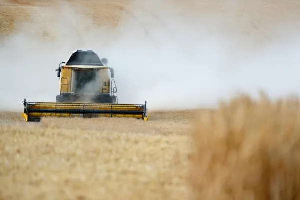 Edição 030 - O Brasil pode liderar a descarbonização global — e esta semana mostra como