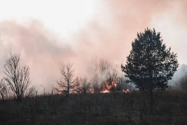 Controlled Burn