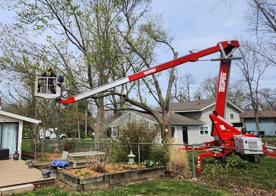 Tree Removal Using A Boom