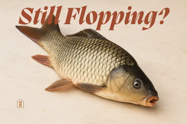 File #002 - Still Flopping?