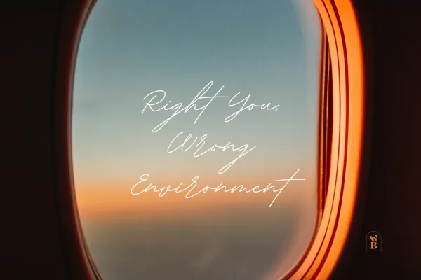 File #019 |  RIGHT You... WRONG Environment