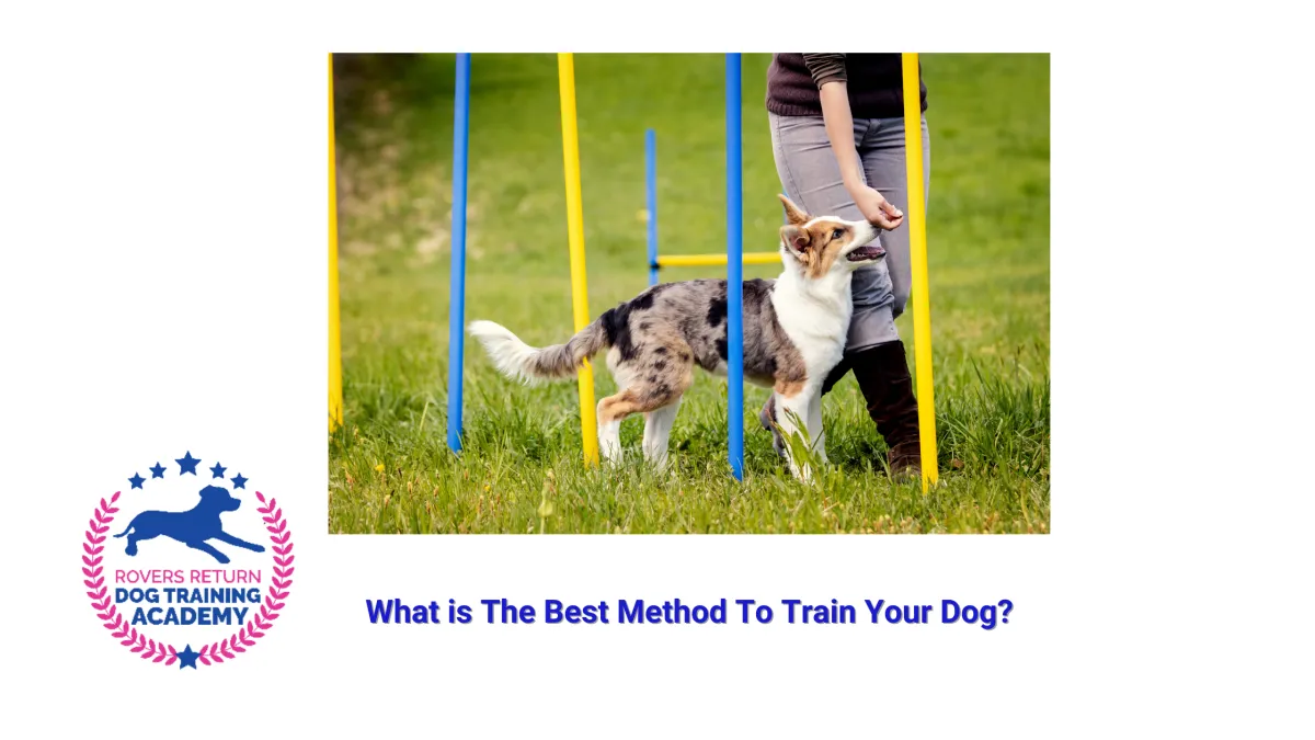 dog training methods
