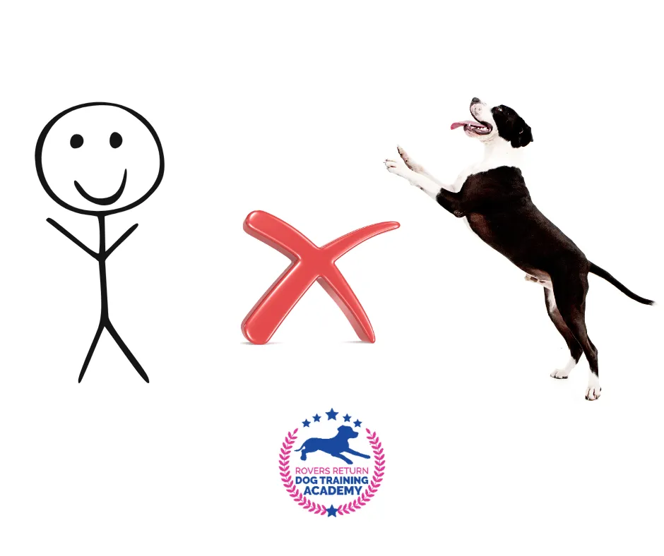 preventing dogs from jumping up