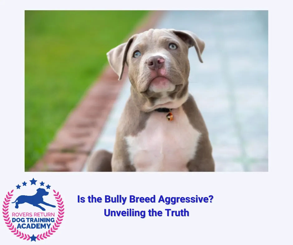 The sales bully breeds