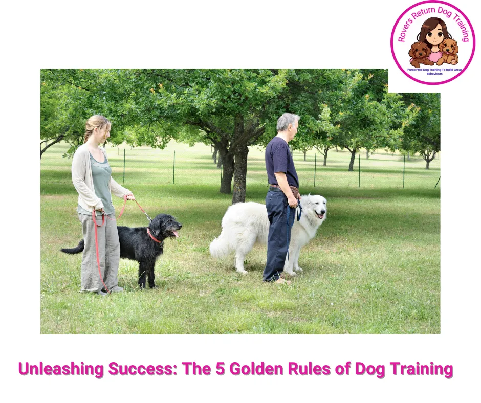 dog training group 