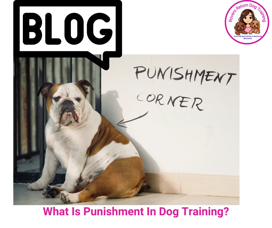 what is punishment