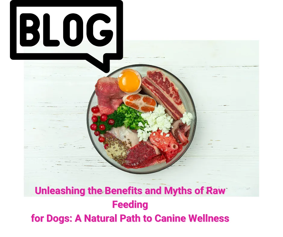 Raw food diet benefits