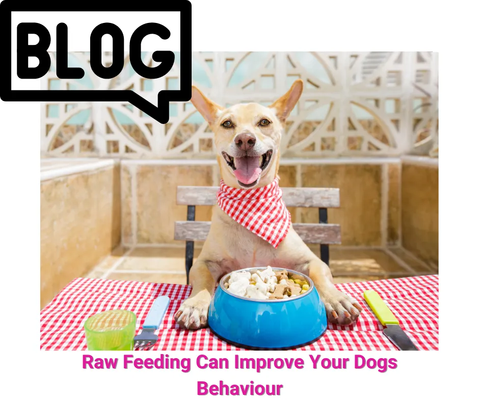Raw Feeding and behaviour