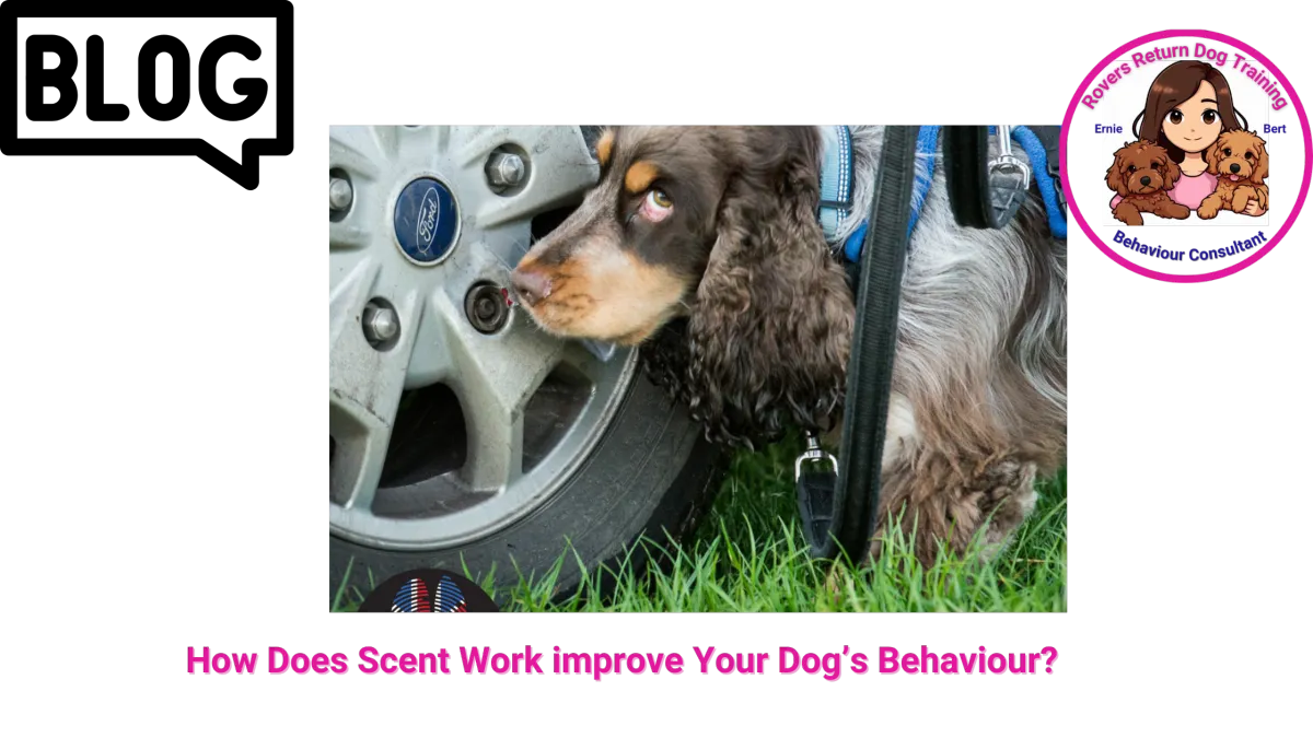 Spanial scent work