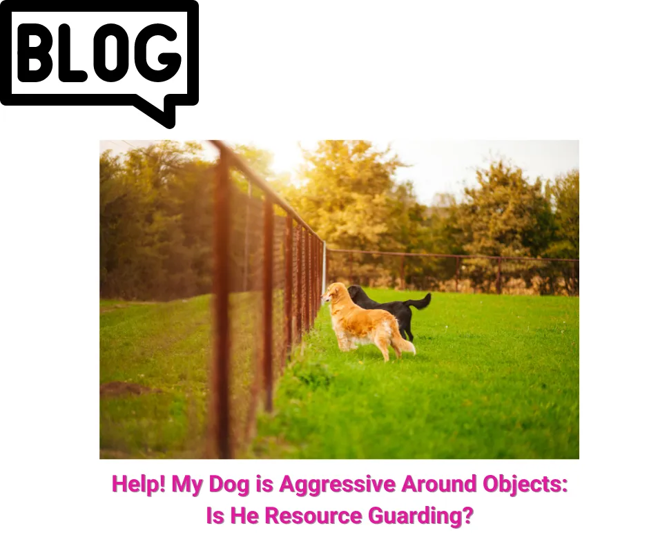 resource guarding dogs