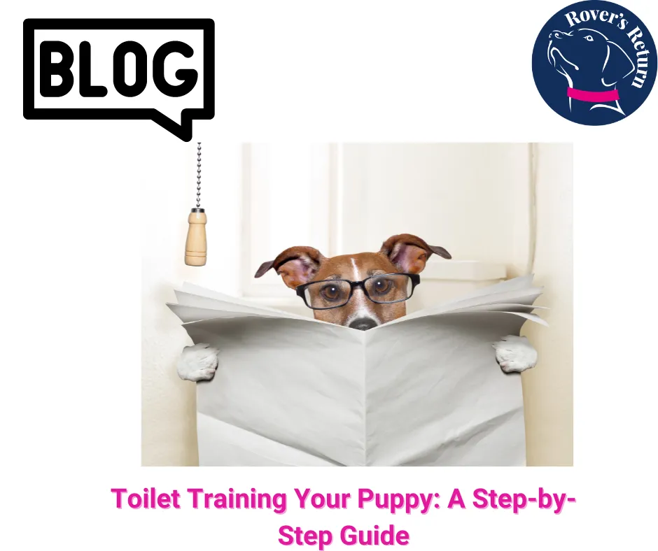 toilet training