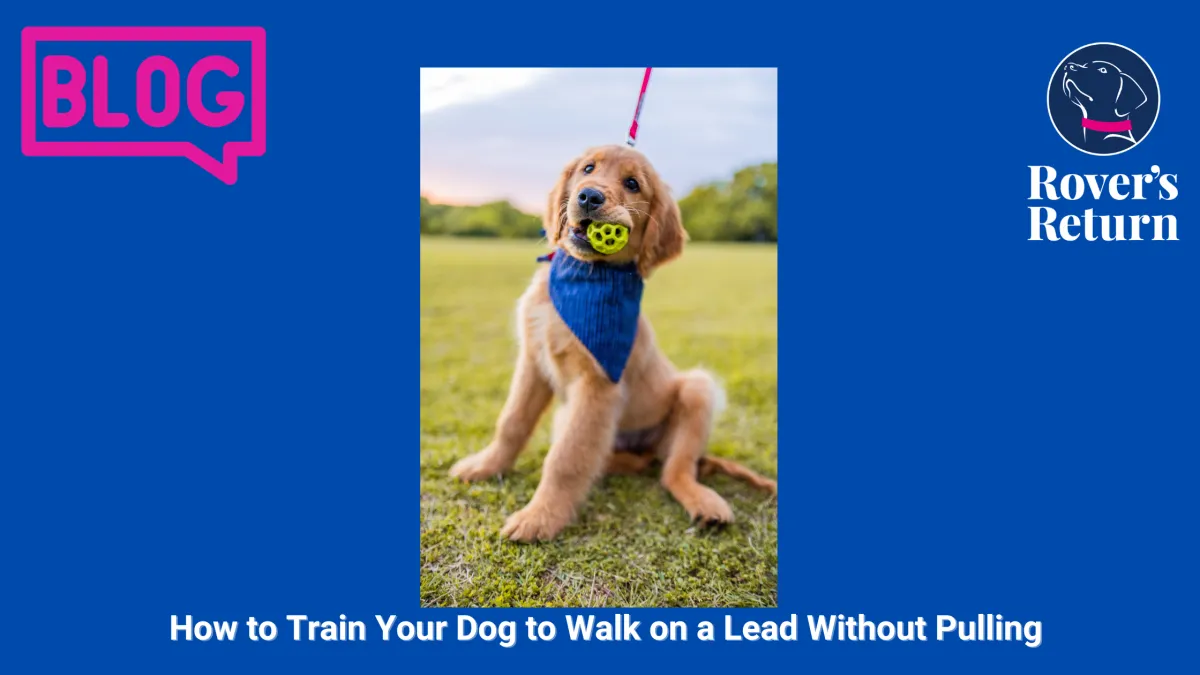 prevent lead pulling