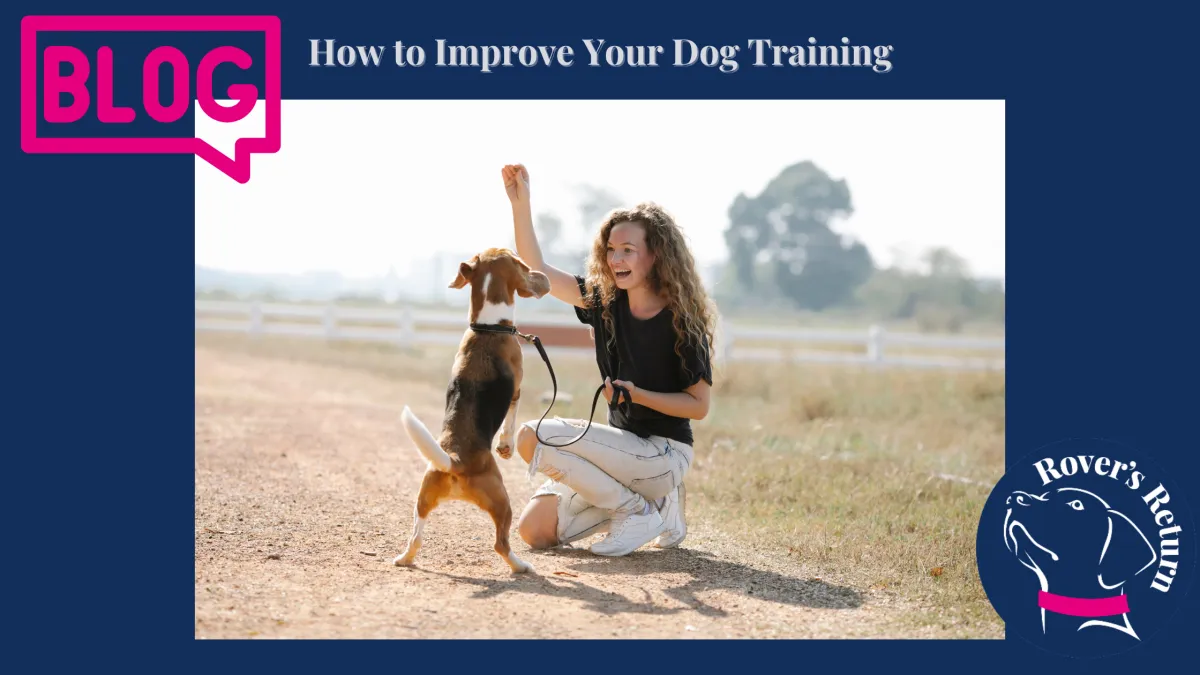 dog training fun