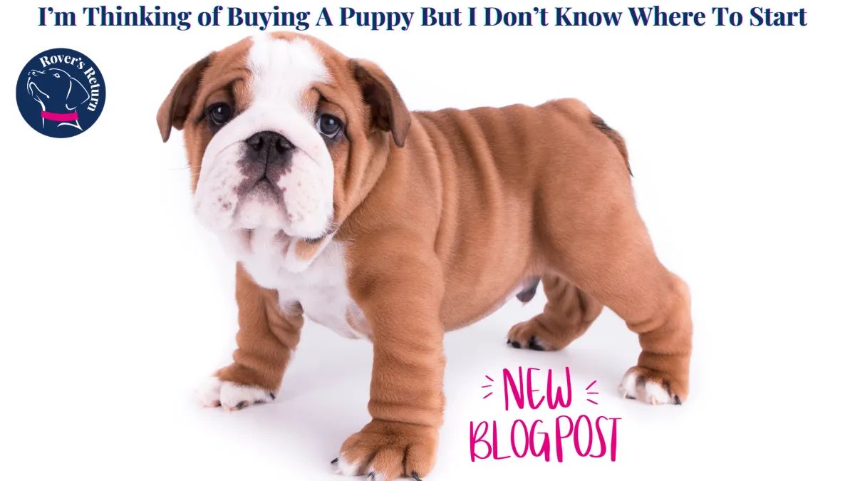 Getting A New Puppy?