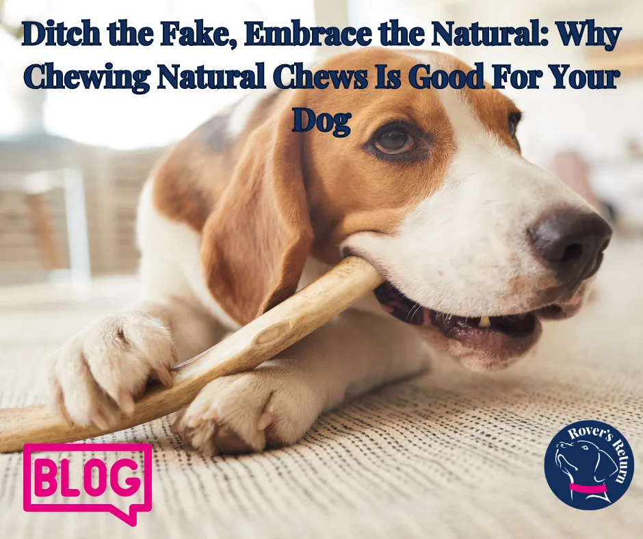 natural chews for dogs