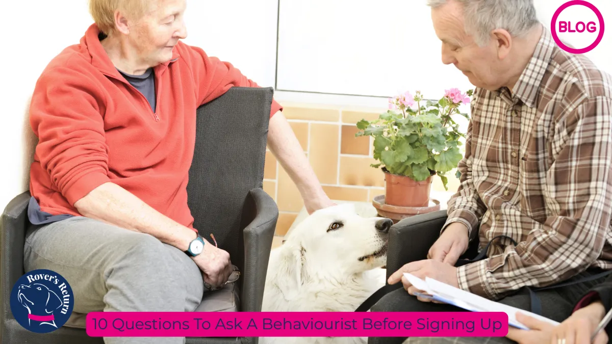 Ten things to ask a dog behaviourist
